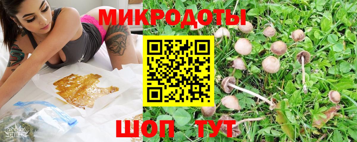 Псилоцибиновые грибы прущие грибы Димитровград